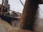 "Саботувати угоду або топити кораблі". Чи буде продовжено зернову угоду після 17 липня