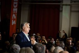 В помощь Орбану