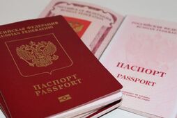 Чи пускають українців до Росії за іноземними паспортами?