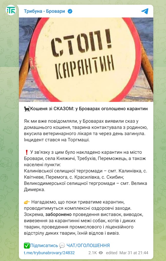 Скриншот из Телеграм