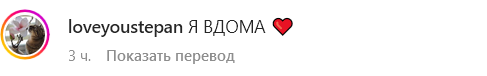 Кот Степан вернулся в Харьков