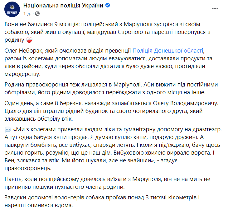Пес снова обрел хозяина
