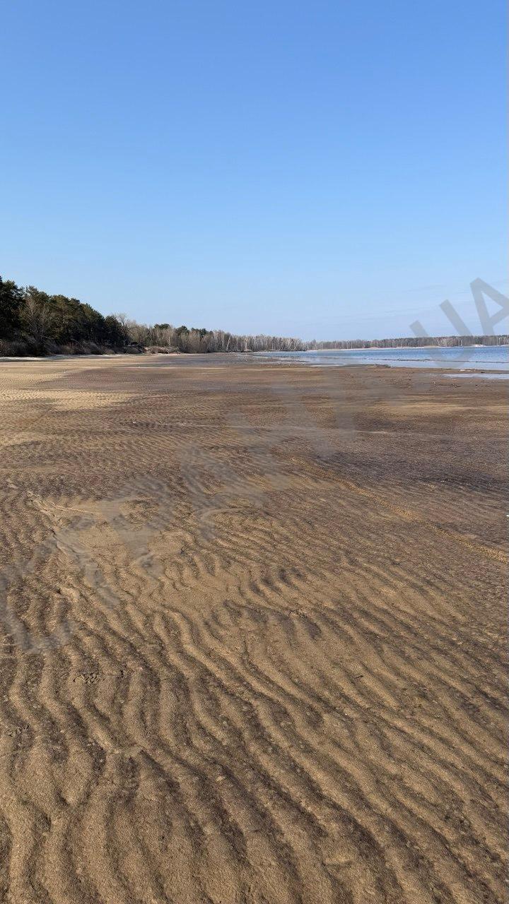 Фото обмілілого берега Київського водосховища. Джерело - 