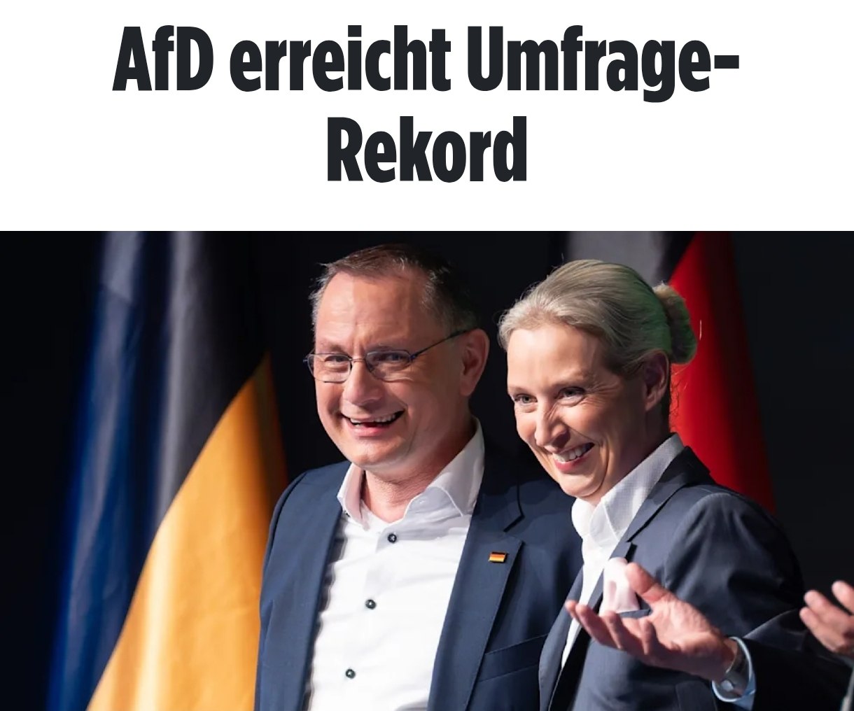 Снимок заголовка на bild.de &ndash; Альтернатива для Германии опередила партию Мерца в опросах за апрель