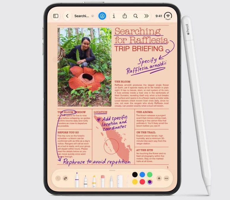 Фото (3) нового смартфона Apple. Джерело &ndash; Телеграм