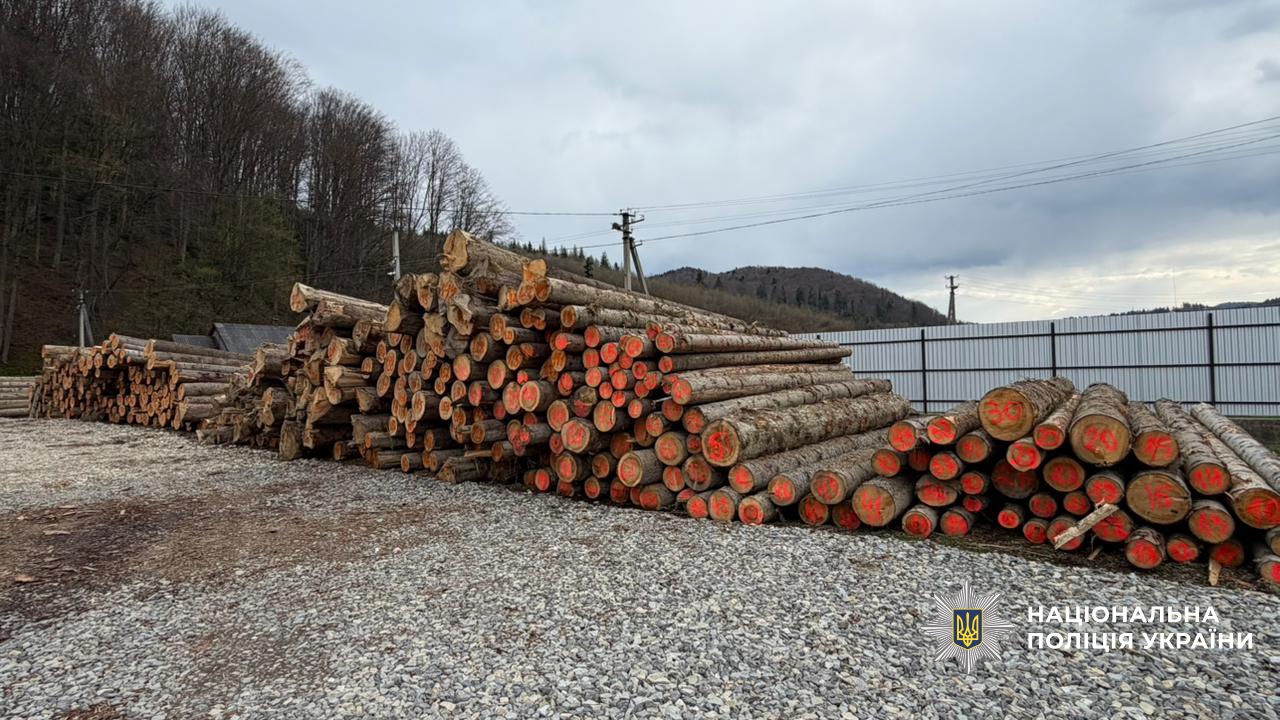 Фото складу деревини. Джерело &ndash; Поліція України